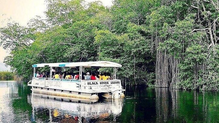 Negril South Coast Day: YS Falls, Black River Safari and Pelican Bar, Entry Fees Included (3/8)