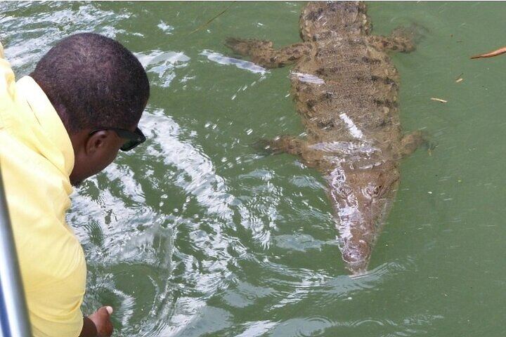 Negril South Coast Day: YS Falls, Black River Safari and Pelican Bar, Entry Fees Included (2/8)