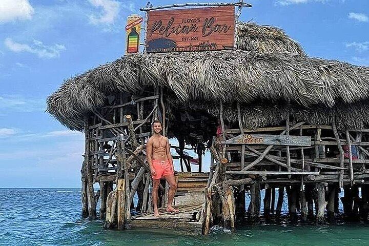 Negril South Coast Day: YS Falls, Black River Safari and Pelican Bar, Entry Fees Included (5/8)
