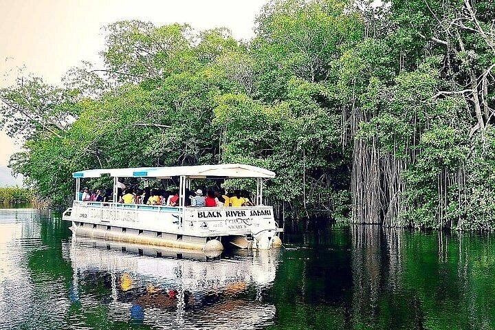 Negril South Coast Day: YS Falls, Black River Safari and Pelican Bar, Entry Fees Included (3/8)