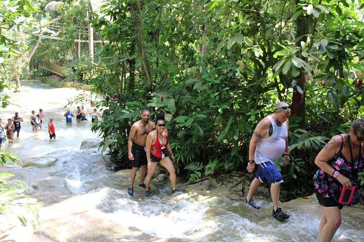 Family-Run Full-Day Blue Hole and Dunn's River Falls Tour with Entry Fees Included (4/12)