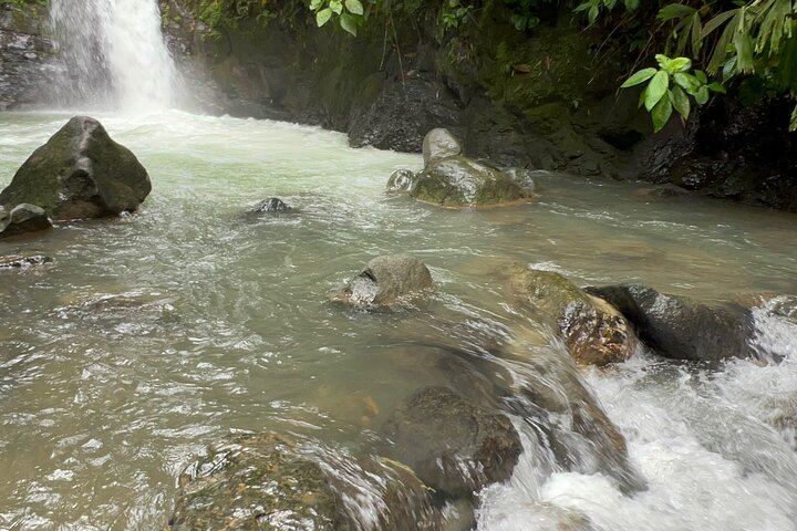 Quepos Full-Day Waterfalls and Beaches Trip with Lunch, Entrance Fees and Guide (7/11)
