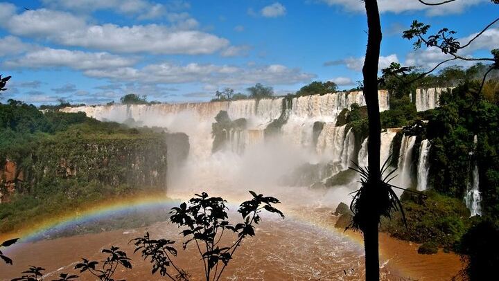 Puerto Iguazu to Brazilian Falls and Parque das Aves Bird Park Guided Tour (3/10)