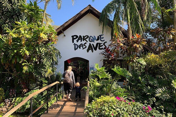 Puerto Iguazu to Brazilian Falls and Parque das Aves Bird Park Guided Tour (7/10)