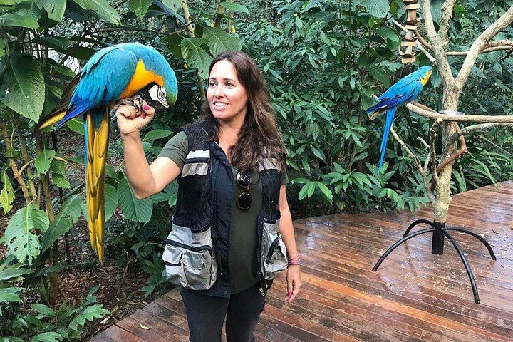 Puerto Iguazu to Brazilian Falls and Parque das Aves Bird Park Guided Tour (10/10)