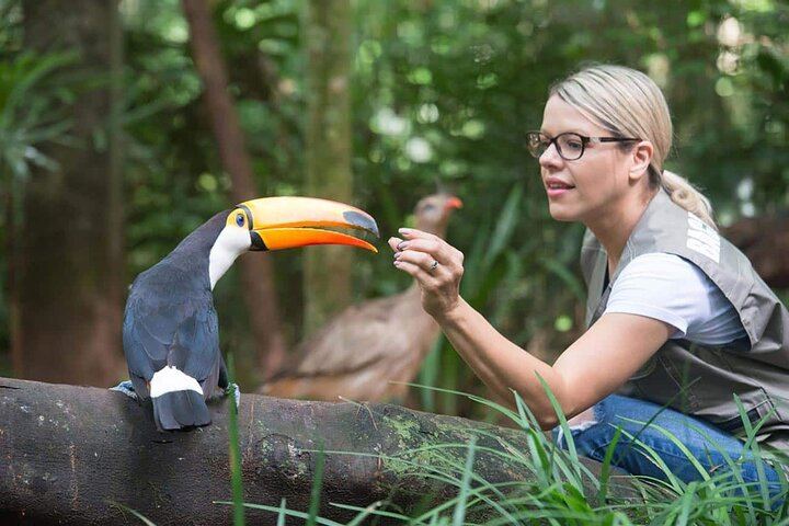 Puerto Iguazu to Brazilian Falls and Parque das Aves Bird Park Guided Tour (8/10)