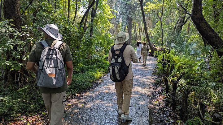 Slow-Paced Private Victoria Falls Day Across Zimbabwe, the Bridge and Zambia (3/12)