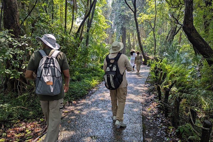 Slow-Paced Private Victoria Falls Day Across Zimbabwe, the Bridge and Zambia (3/12)