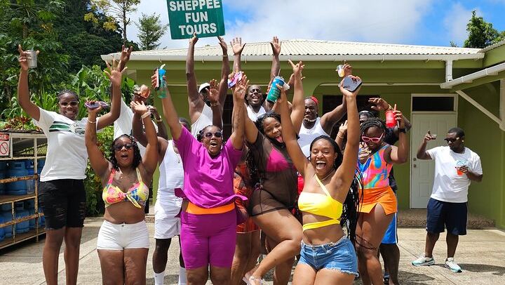 Sheppee Fun Tours: Emerald Pool, Trafalgar Falls and Morne Bruce, Dominica (4/7)