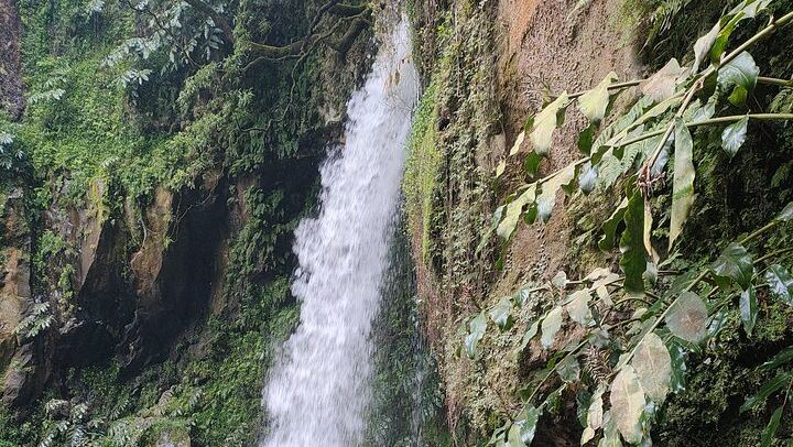Walking Route to Salto do Cabrito, Salto da Farinha and Ribeira dos Caldeirões (2/12)