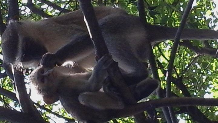 Victoria Falls and Chobe 4-Day Stay With Zambezi Cruise and Chobe Day Trip (1/12)