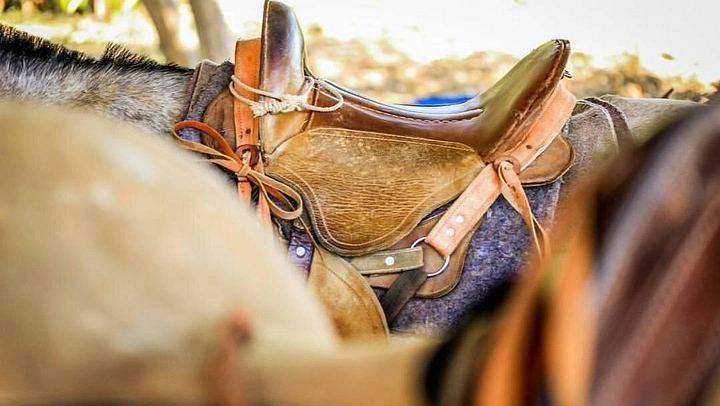 Horseback, 180-Foot El Encanto Rappel and Zipline Day at Ocean Ranch Park, Jaco (4/12)