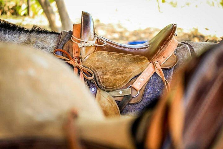 Horseback Ride to the 180-Foot El Encanto Waterfall at Ocean Ranch Park, Jaco (7/11)