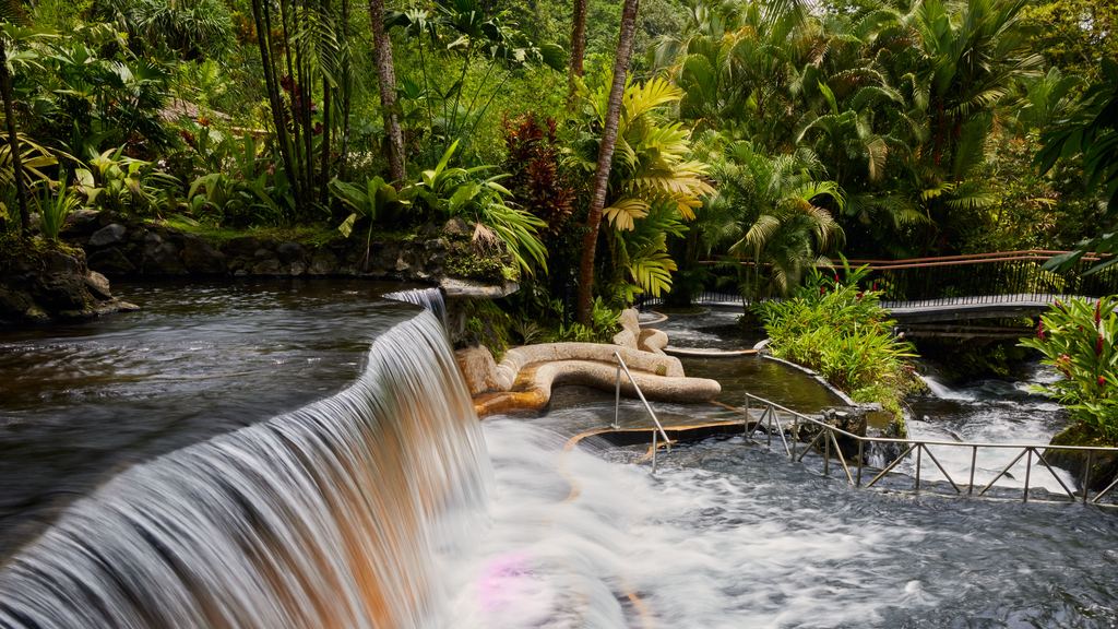 Warm river water spills over a weir into terraced thermal pools surrounded by tropical plants near Arenal, Costa Rica