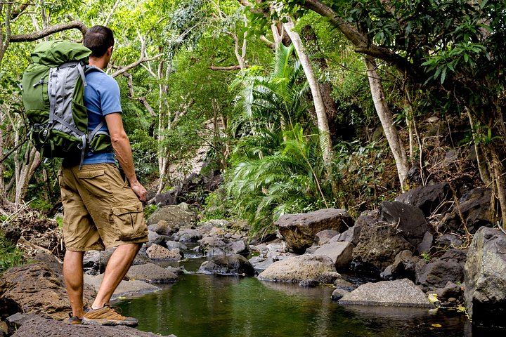Kauai Wailua Valley and Waterfalls Self-Drive Audio Tour with Shaka Guide App, Offline (5/11)