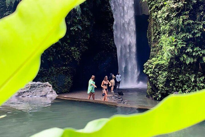 Bali Waterfalls and Temples Tour: Temesi, Goa Raja, Kehen and Besakih (3/12)