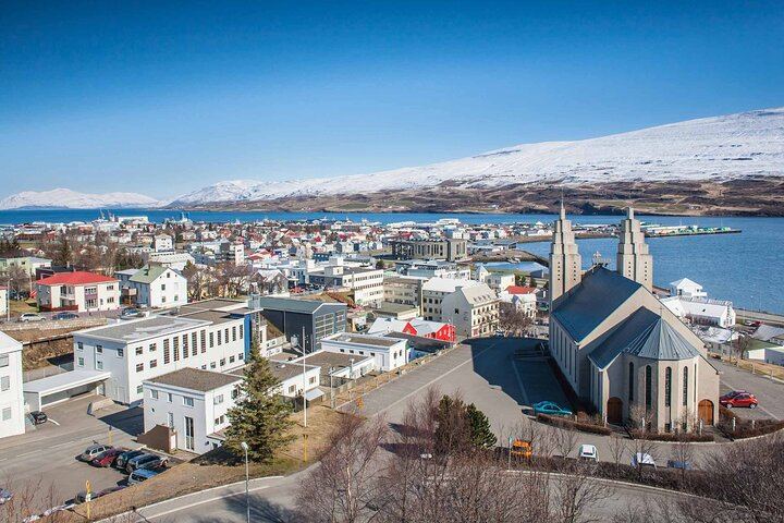 Godafoss Waterfall Shore Excursion from Akureyri Port with Return-to-Ship Guarantee (4/9)