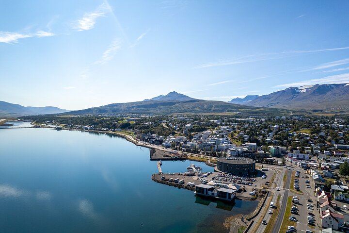 Godafoss Waterfall Shore Excursion from Akureyri Port with Return-to-Ship Guarantee (3/9)