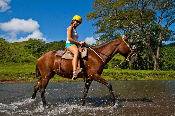 Horseback Ride to the 180-Foot El Encanto Waterfall at Ocean Ranch Park, Jaco (3/11)