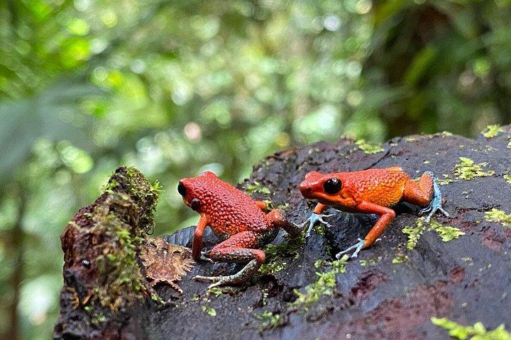 Private Hacienda Ebano Waterfalls Tour with Big Mango Lookout and Short or Medium Hike (7/12)
