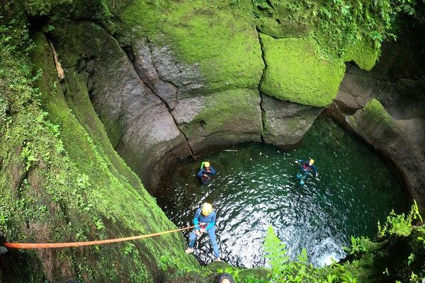 Small-Group Canyoning in Dominica with a Qualified Guide, Beginners to Athletes
