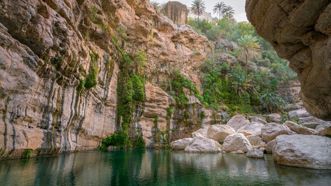 Green pool in the gorge of Wadi Tiwi, Oman, with cliffs and date palms behind it