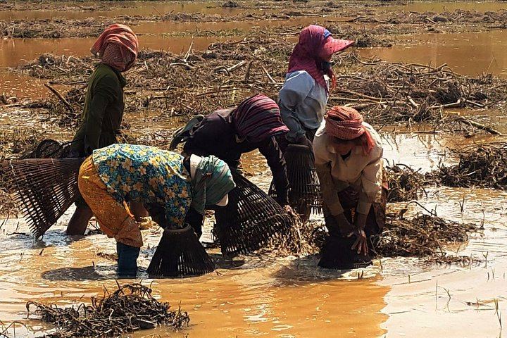 Private 3-Day Angkor, Banteay Srei, Kulen Waterfall, Beng Mealea and Tonle Sap Tour (9/9)
