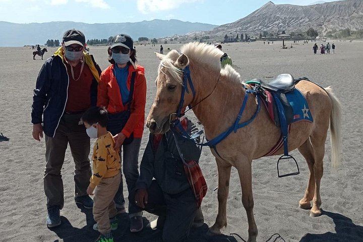 Three-Day Private Madakaripura, Bromo and Ijen Tour with Four-Star Hotels (7/9)