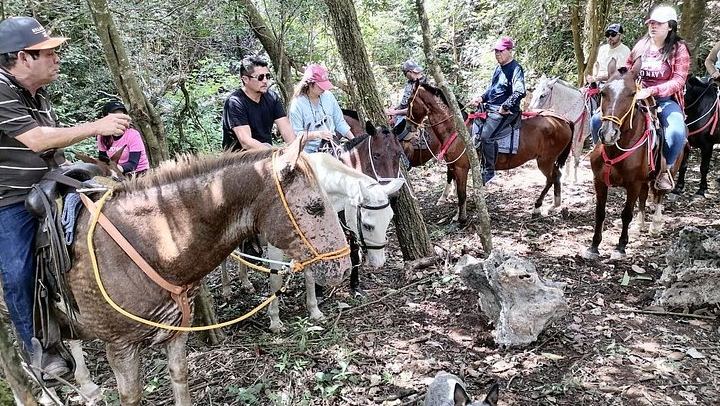 Full Day: Llanos del Cortés, Miravalles Horseback Ride, ThermoMania Springs, Coffee (4/12)