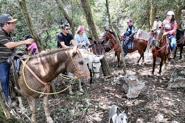 Full Day: Llanos del Cortés, Miravalles Horseback Ride, ThermoMania Springs, Coffee (4/12)
