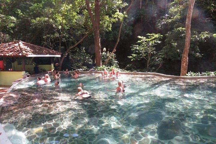 Llanos de Cortés Swim, Rainforest Sloths, Coffee and Chocolate, and Río Celeste Stop (1/11)