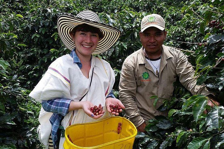 Llanos de Cortés Swim, Rainforest Sloths, Coffee and Chocolate, and Río Celeste Stop (3/11)