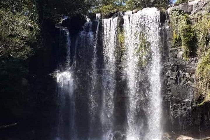 Llanos de Cortés Swim, Rainforest Sloths, Coffee and Chocolate, and Río Celeste Stop (10/11)