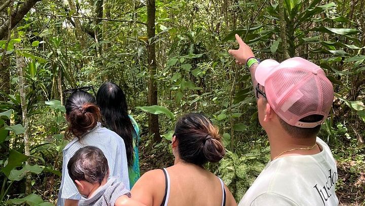 Llanos del Cortés Swim, Tenorio Coffee Farm, Chocolate Tasting and Bijagua Sloth Walk (4/12)