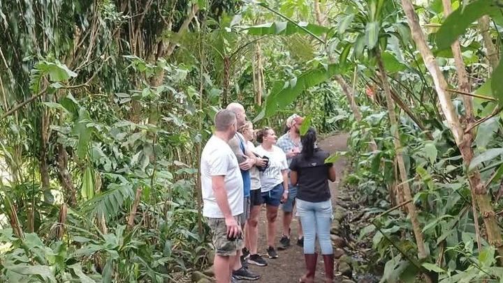 Llanos del Cortés Swim, Tenorio Coffee Farm, Chocolate Tasting and Bijagua Sloth Walk (1/12)