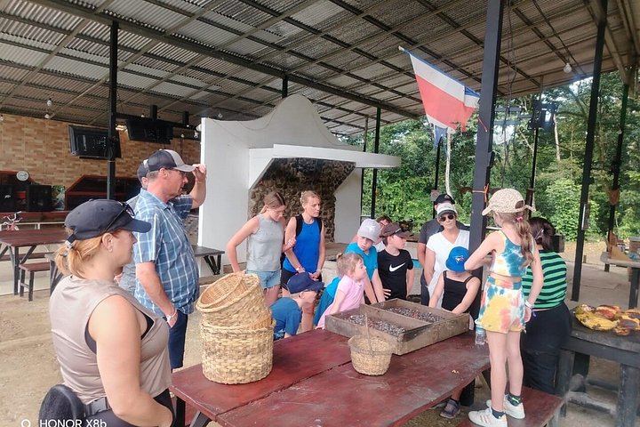Llanos del Cortés Swim, Tenorio Coffee Farm, Chocolate Tasting and Bijagua Sloth Walk (8/12)