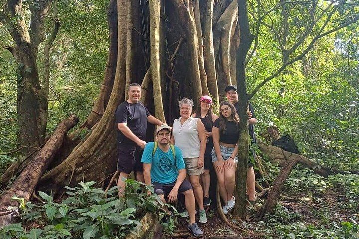 Llanos del Cortés Swim, Tenorio Coffee Farm, Chocolate Tasting and Bijagua Sloth Walk (10/12)
