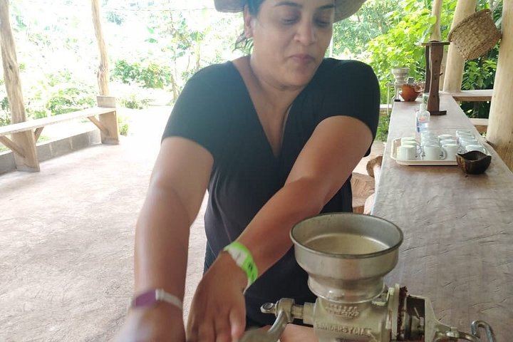 Llanos del Cortés Swim, Tenorio Coffee Farm, Chocolate Tasting and Bijagua Sloth Walk (9/12)
