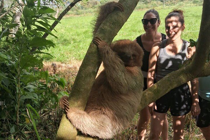 Llanos del Cortés Swim, Tenorio Coffee Farm, Chocolate Tasting and Bijagua Sloth Walk (5/12)