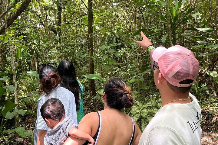 Llanos del Cortés Swim, Tenorio Coffee Farm, Chocolate Tasting and Bijagua Sloth Walk (4/12)