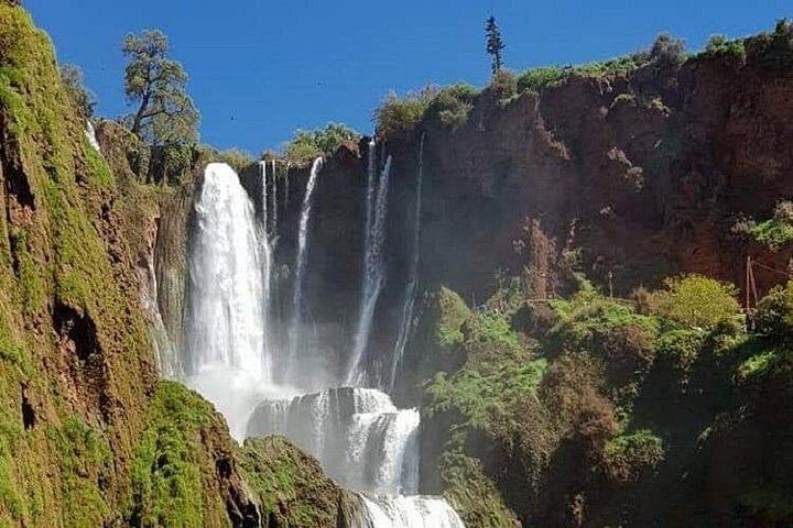 Ouzoud Falls Minibus Day Tour: Olive Groves, Gorge Descent and Optional Swim (6/12)