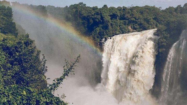 Victoria Falls Rainforest Guided Tour with Private Transport from the Hotel (3/11)