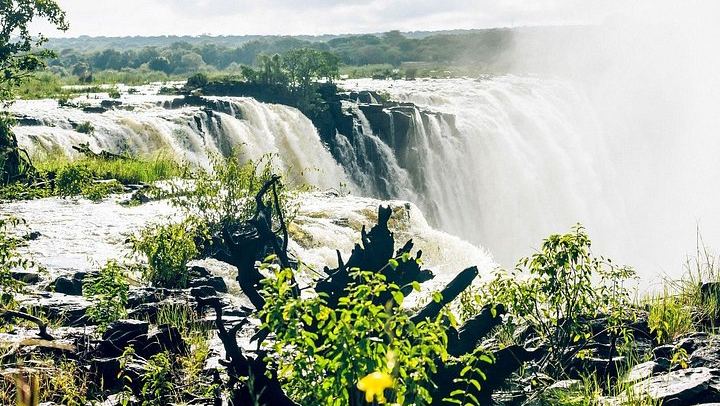 Victoria Falls Guided Walks on Both Sides with Big Tree and Bridge Stops (4/9)