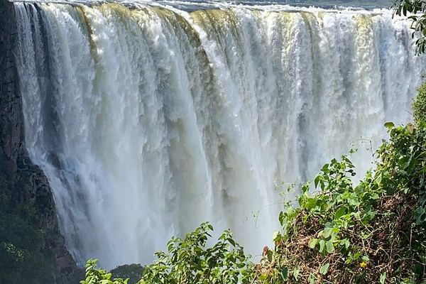 Victoria Falls Rainforest Guided Tour with Private Transport from the Hotel