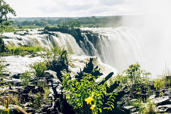 Victoria Falls Guided Walks on Both Sides with Big Tree and Bridge Stops (4/9)
