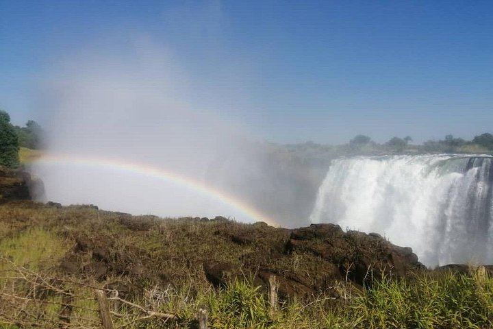 Victoria Falls Zimbabwe Side Guided Walk with Big Tree and Boiling Point (7/11)