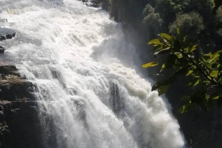 Victoria Falls Zimbabwe Side Guided Walk with Big Tree and Boiling Point (9/11)