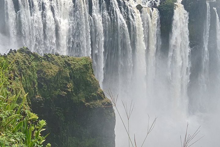 Victoria Falls Zimbabwe Side Guided Walk with Big Tree and Boiling Point (10/11)