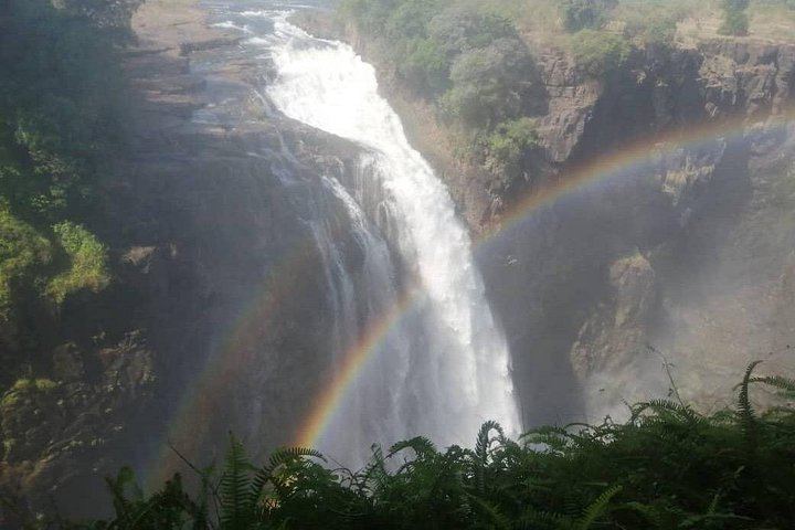 Victoria Falls Zimbabwe Side Guided Walk with Big Tree and Boiling Point (8/11)