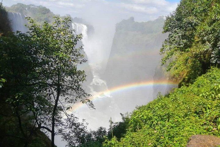 Victoria Falls Zimbabwe Side Guided Walk with Big Tree and Boiling Point (6/11)